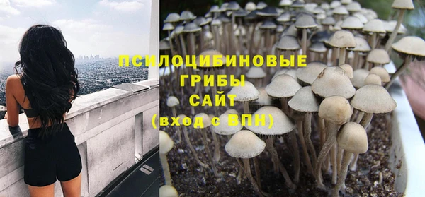 ешки Елизово