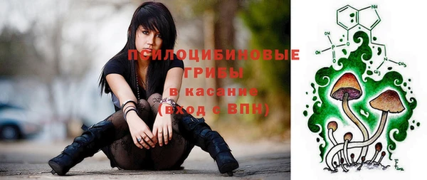 хмурый Алексеевка
