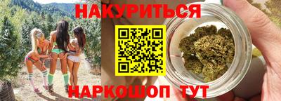 крисы Нальчик