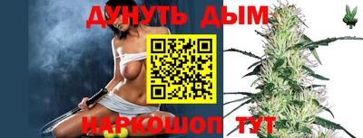 крисы Нальчик