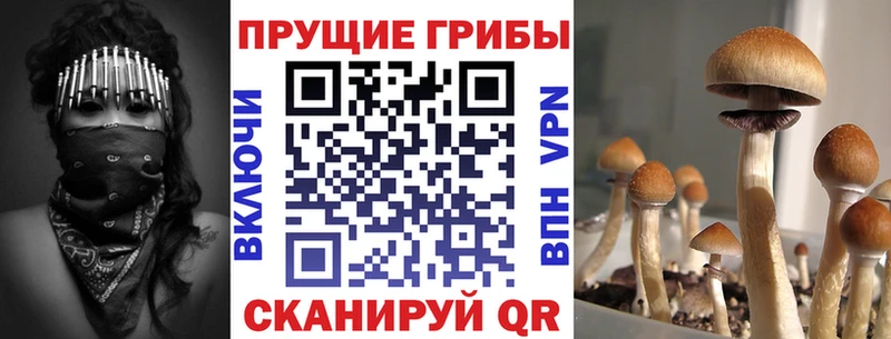 Галлюциногенные грибы мухоморы  где можно купить наркотик  mega зеркало  Туймазы 